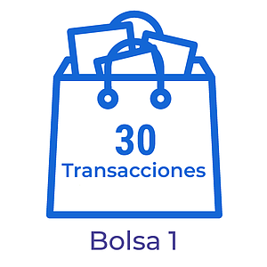 Bolsa con 30 transacciones para el procesamiento de documentos electrónicos
